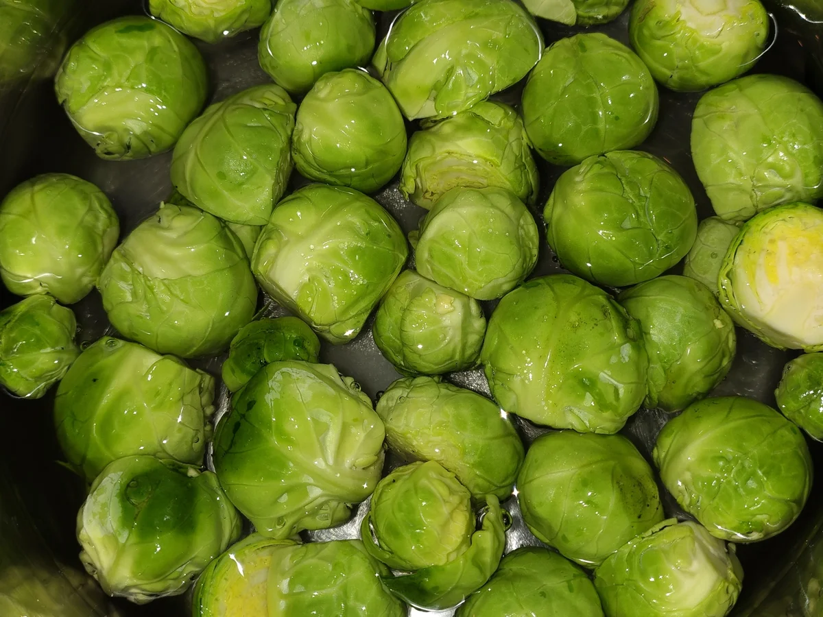 Rosenkohl - Auflauf - Rezept - Bild Nr. 17609