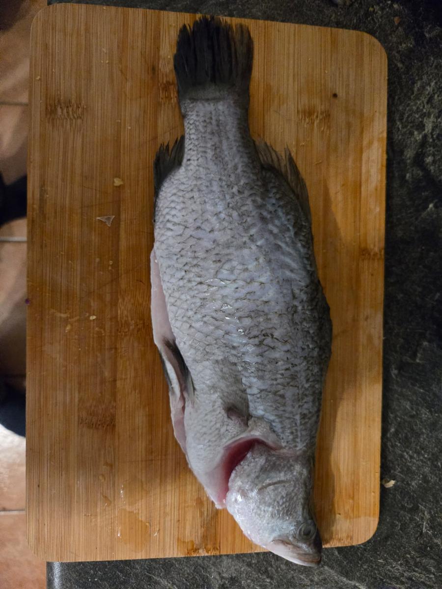 Steierischer Barramundi finkenweder Art mit Ingwer-Mango Beurre Blanc und Petersilienwurze - Rezept - Bild Nr. 17615