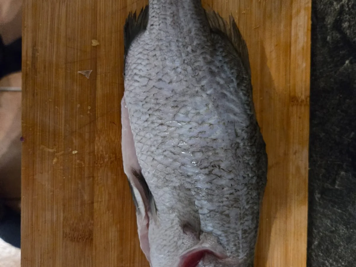 Steierischer Barramundi finkenweder Art mit Ingwer-Mango Beurre Blanc und Petersilienwurze - Rezept - Bild Nr. 17615