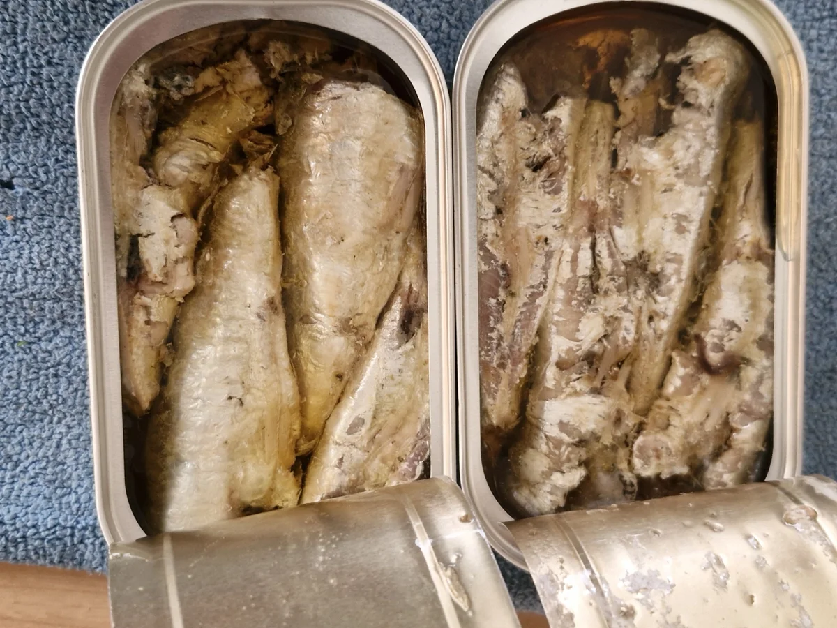 Spaghetti mit Fenchel und Sardinen - Rezept - Bild Nr. 17642