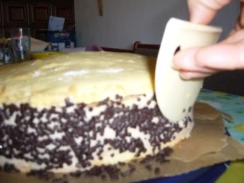 Rezept: Torten: Apfelcreme-Schicht-Torte Bild Nr. 7 Torten: Apfelcreme-Schicht-Torte - Rezept - Bild Nr. 7