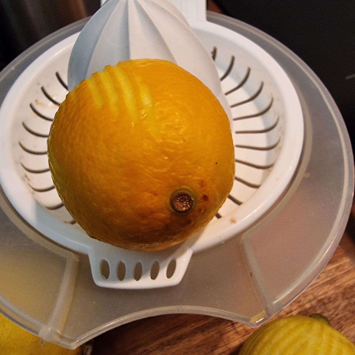 Rezept: Zitronen-Ingwer-Gelee Bild Nr. 17642 Zitronen-Ingwer-Gelee - Rezept - Bild Nr. 17642