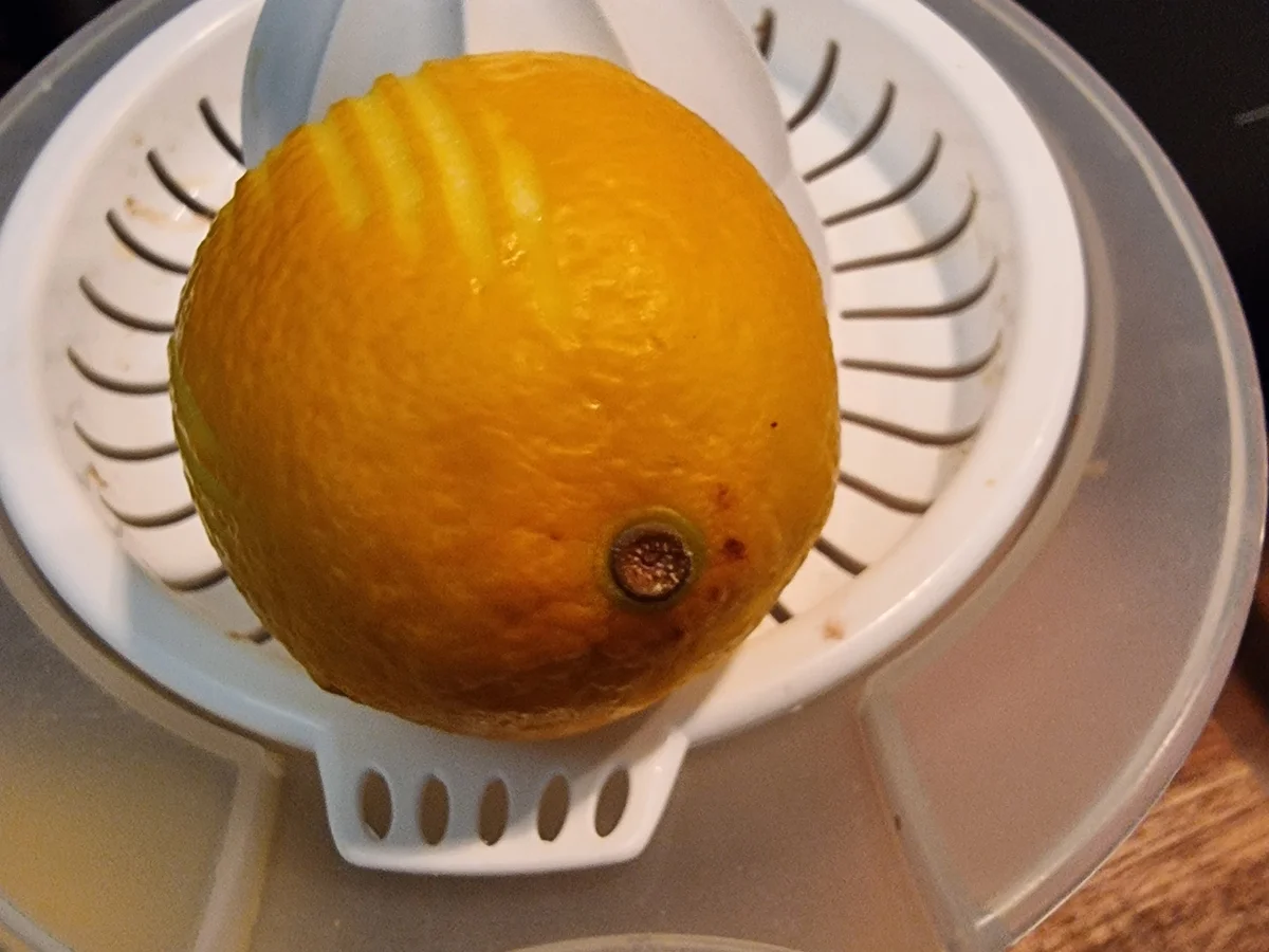 Zitronen-Ingwer-Gelee - Rezept - Bild Nr. 17642