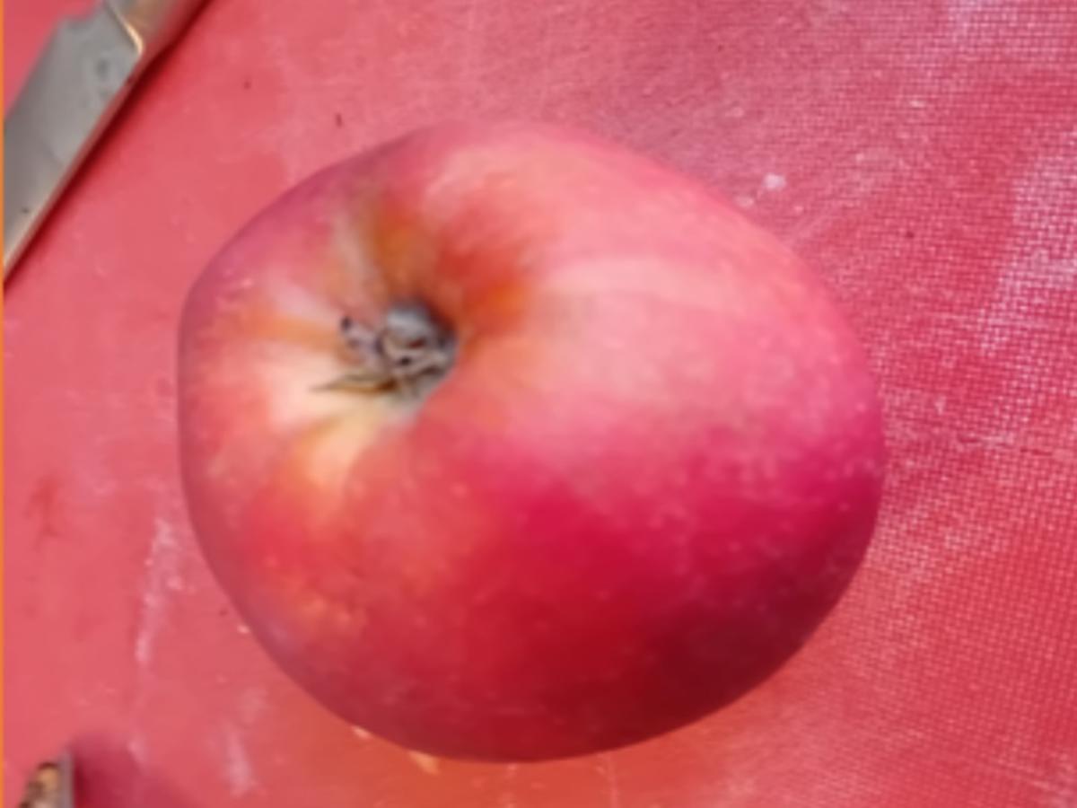 Apfel im Bierteig - Rezept - Bild Nr. 3