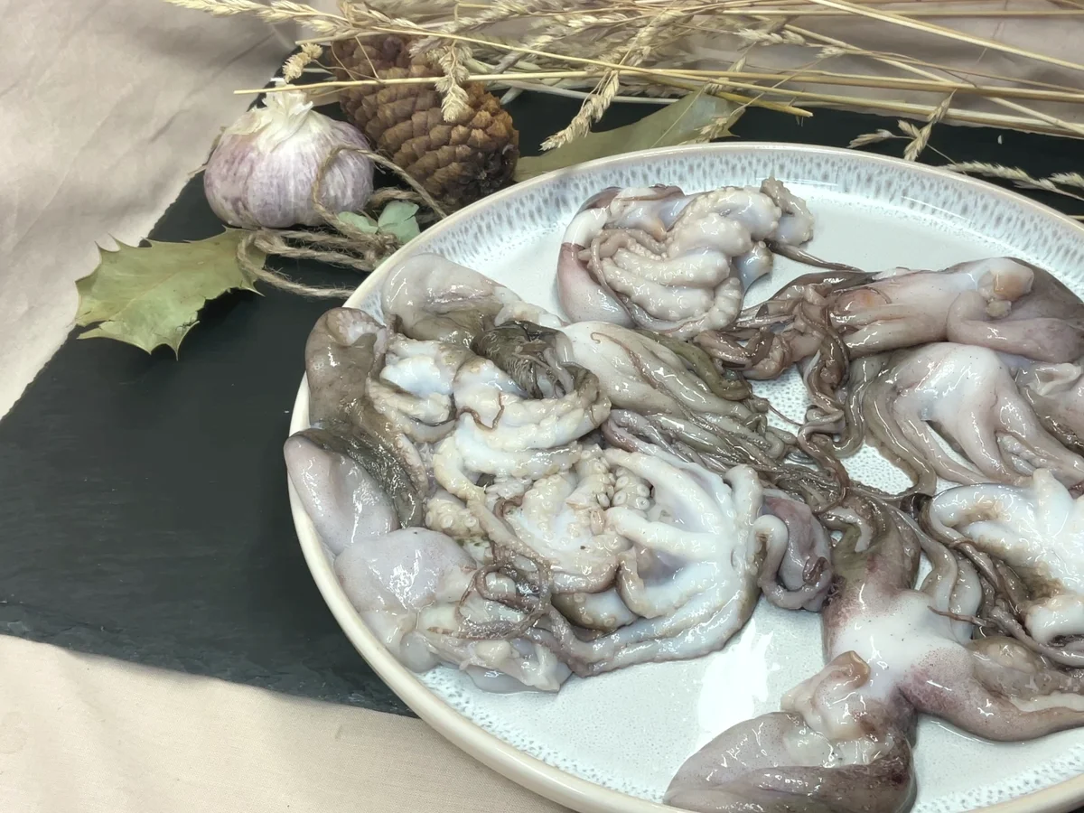 Rezept: Mini-Oktopus-Rezept Bild Nr. 17667 Mini-Oktopus-Rezept - Rezept - Bild Nr. 17667