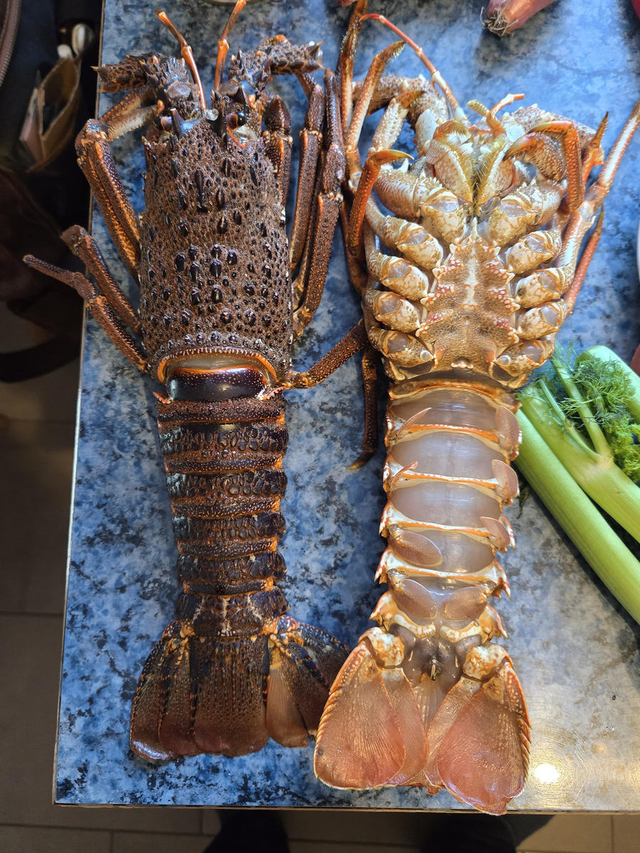 Tristan Languste Wellington - Rezept - Bild Nr. 17713