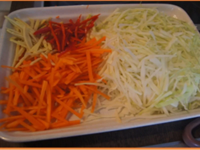 Mie-Nudeln mit Schweinefilet und Weißkohl - Rezept - Bild Nr. 17695