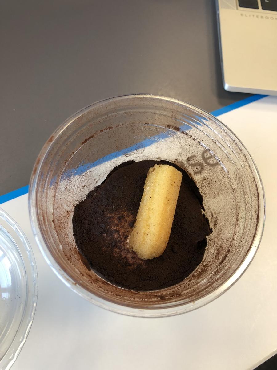 Tiramisu - Rezept - Bild Nr. 17692