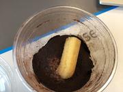 Tiramisu - Rezept - Bild Nr. 17692