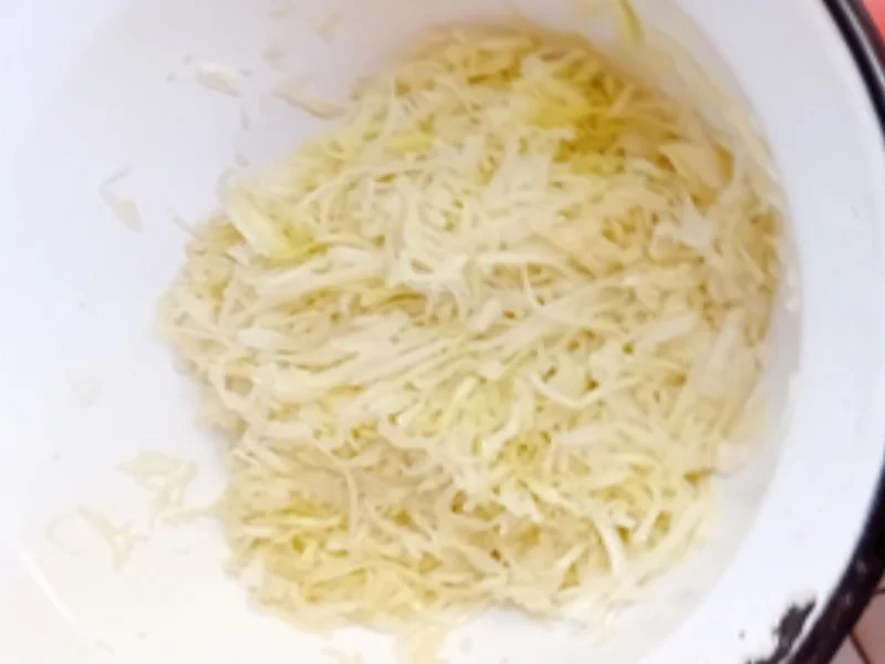 Rezept: Schnitzel mit Pommes-Frites und Weißkohl-Salat Bild Nr. 17698 Schnitzel mit Pommes-Frites und Weißkohl-Salat - Rezept - Bild Nr. 17698