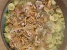 Orecchiette mit Waldpilzen - Rezept