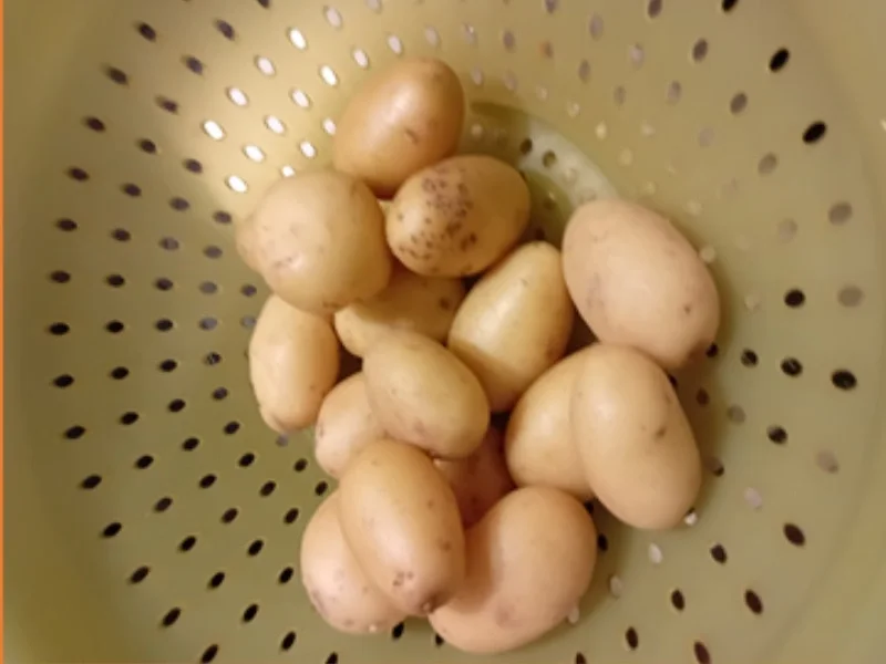 Schweinesteak mit Röstzwiebeln, Rahm-Rosenkohl und Drillingen - Rezept - Bild Nr. 12