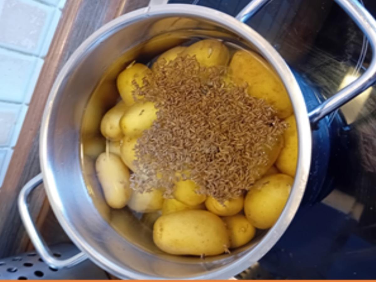 Rezept: Hackstippe mit Kümmel-Pellkartoffeln Bild Nr. 17726 Hackstippe mit Kümmel-Pellkartoffeln - Rezept - Bild Nr. 17726