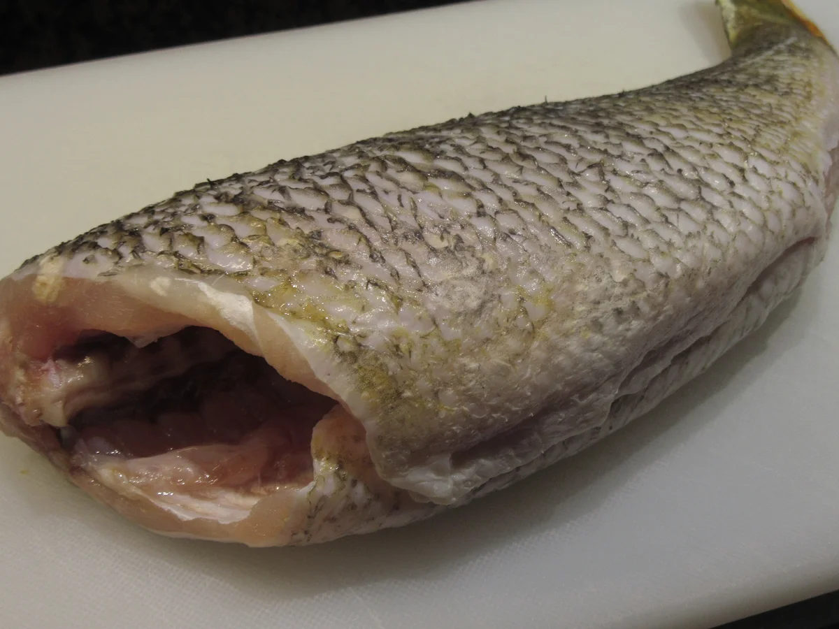 Rezept: Fisch: Barsch aus dem Rohr Bild Nr. 3 Fisch: Barsch aus dem Rohr - Rezept - Bild Nr. 3