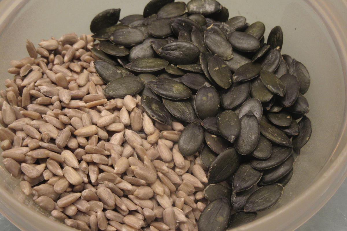 Brot/Brötchen: Bierstangen - Rezept - Bild Nr. 5