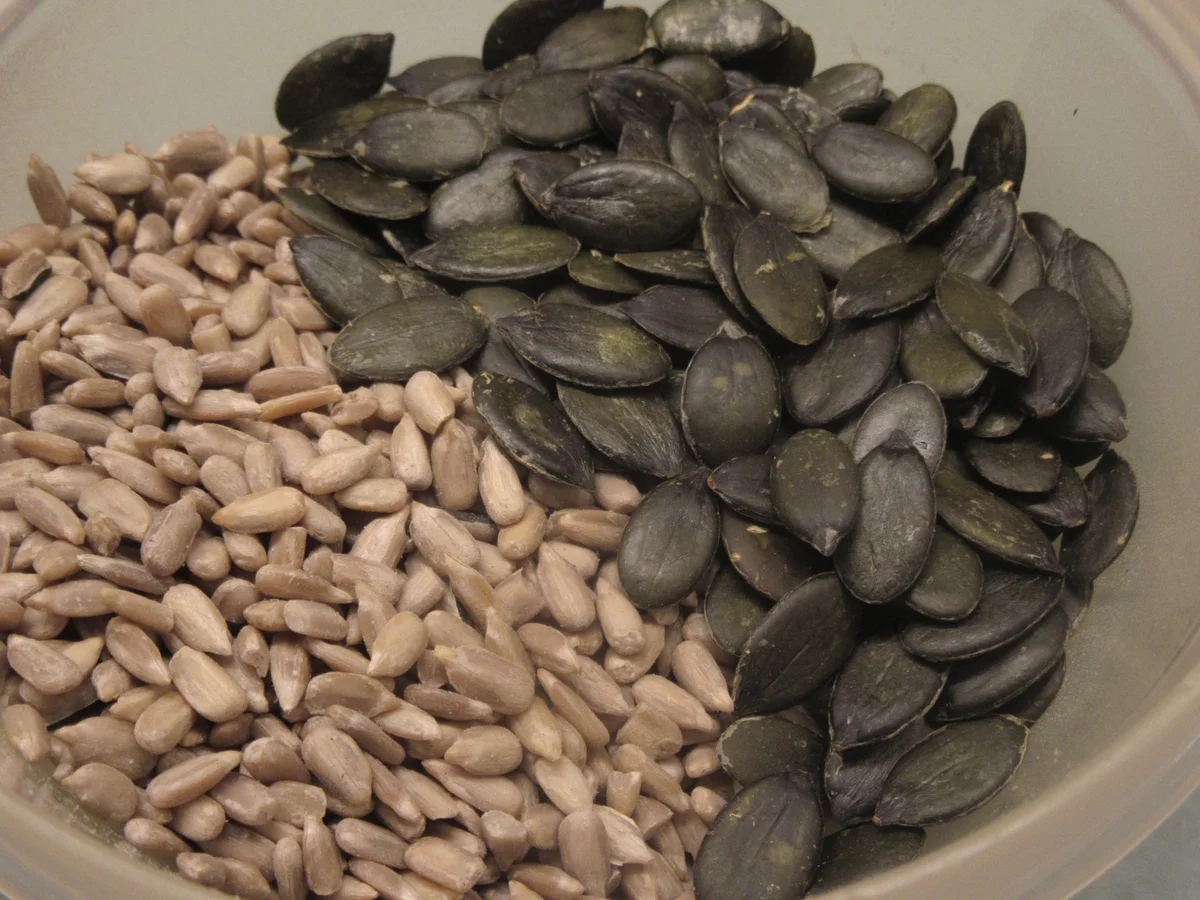 Rezept: Brot/Brötchen: Bierstangen Bild Nr. 5 Brot/Brötchen: Bierstangen - Rezept - Bild Nr. 5