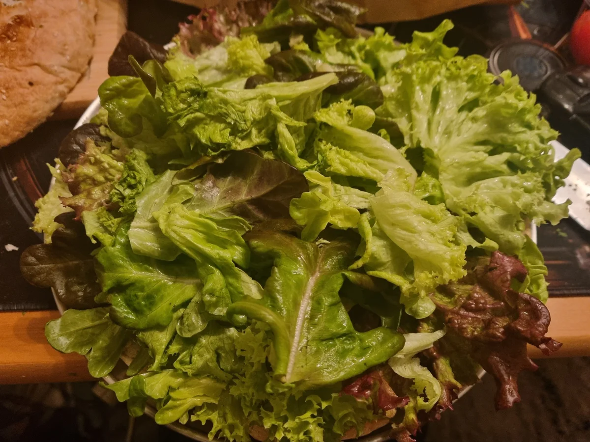 Herrentorte, pikant - Rezept - Bild Nr. 17771