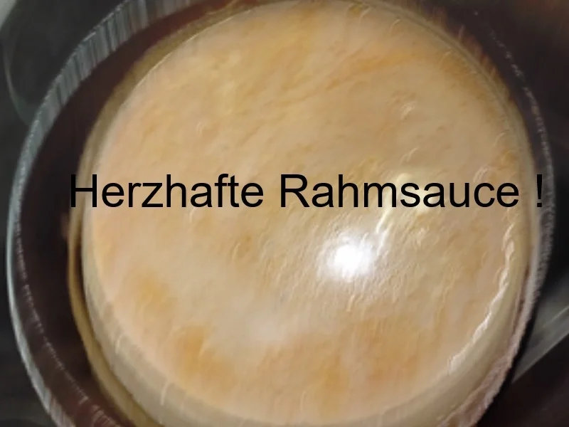 Rezept: Wirsingrouladen mit herzhafter Rahmsauce, Honig-Bundmöhren und Drillingen Bild Nr. 17820 Wirsingrouladen mit herzhafter Rahmsauce, Honig-Bundmöhren und Drillingen - Rezept - Bild Nr. 17820