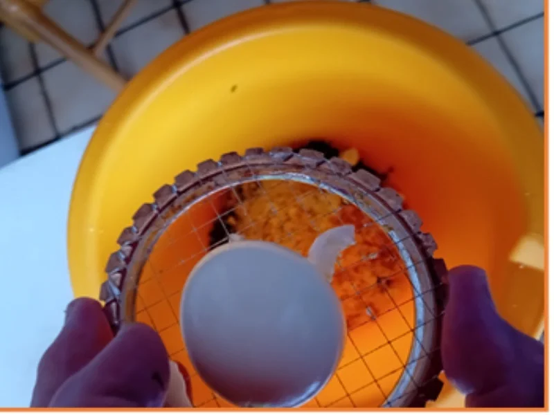 Eierbuletten mit Gurkensalat - Rezept - Bild Nr. 17846