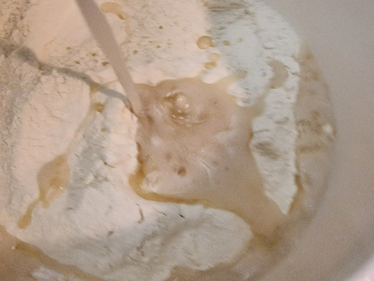 Pizza Cipolla - Rezept - Bild Nr. 17845