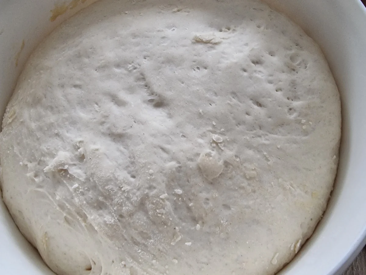 Pizza Cipolla - Rezept - Bild Nr. 17850