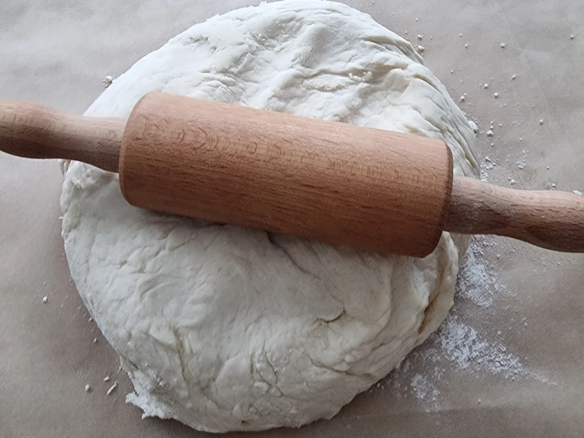 Pizza Cipolla - Rezept - Bild Nr. 17851