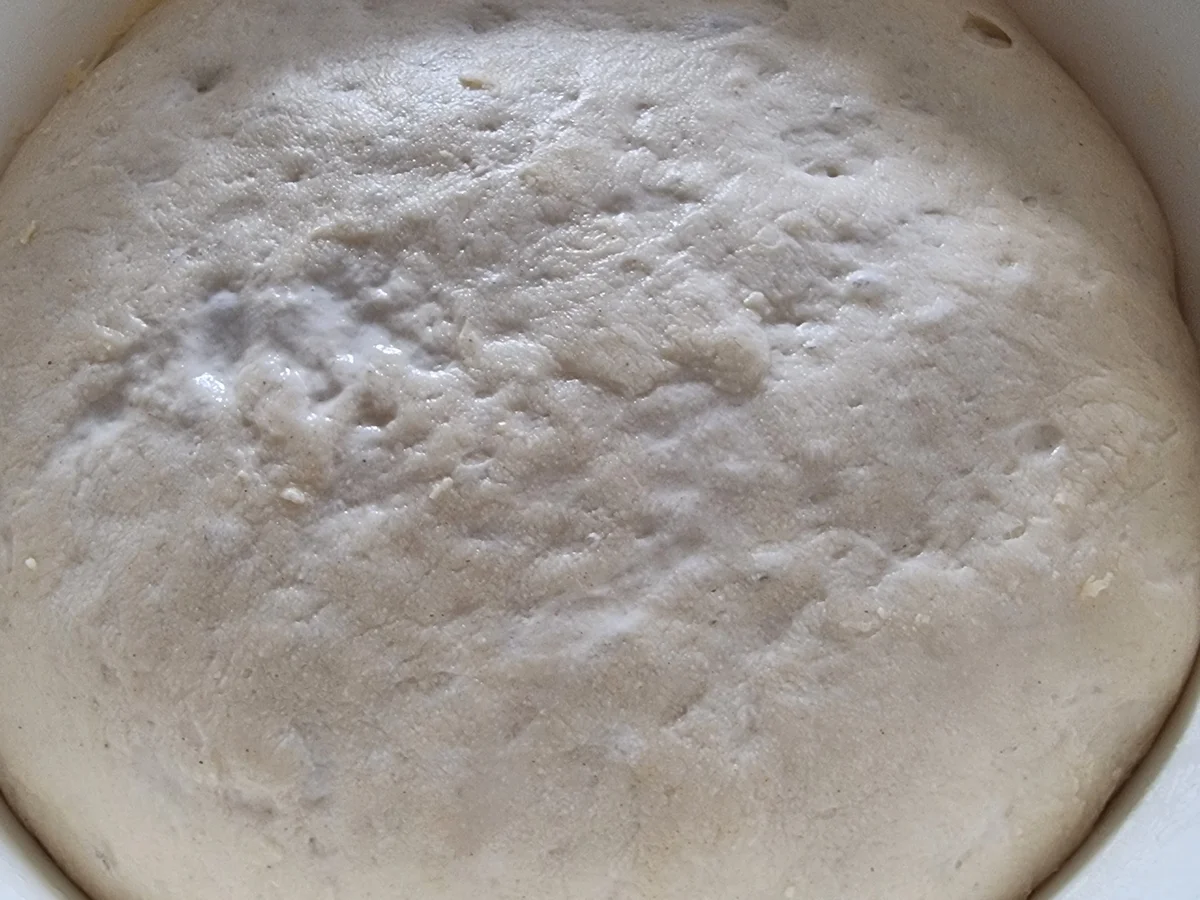 Pinsa Bianca - Rezept - Bild Nr. 17853