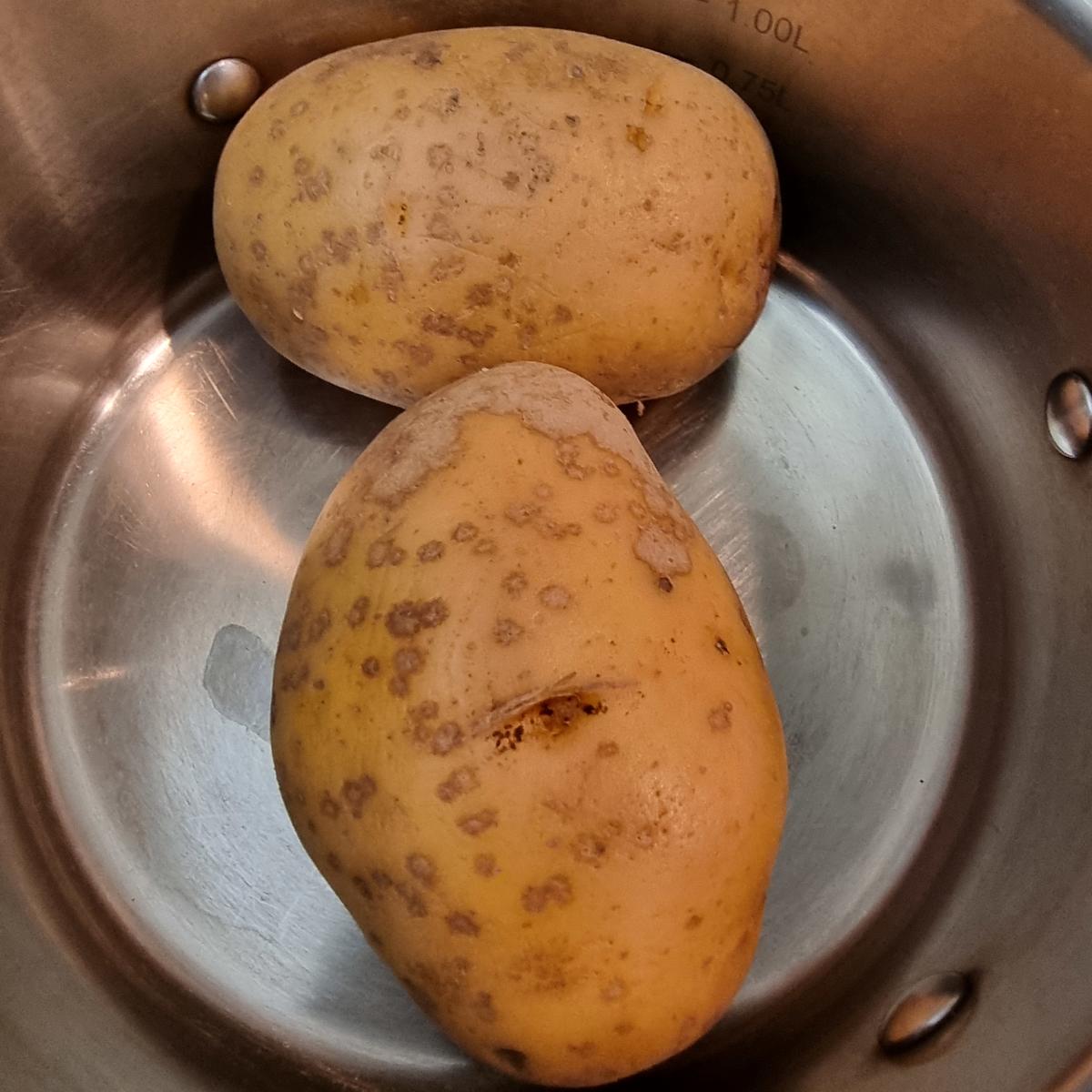 Rezept: Pinsa Bianca Bild Nr. 17857 Pinsa Bianca - Rezept - Bild Nr. 17857