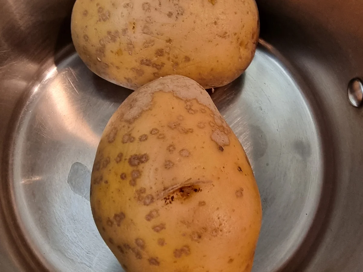 Pinsa Bianca - Rezept - Bild Nr. 17857