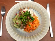 Rezept: Herbstlich gemischter Salatteller aus Karotte, Mairübe und Gurke Bild Nr. 2 Herbstlich gemischter Salatteller aus Karotte, Mairübe und Gurke - Rezept - Bild Nr. 2