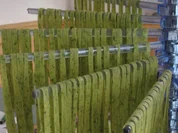 Pasta: "Singrini" - für die KitchenAid - Rezept - Bild Nr. 2