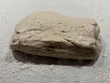 Langzeit Pizzateig - Rezept - Bild Nr. 17985