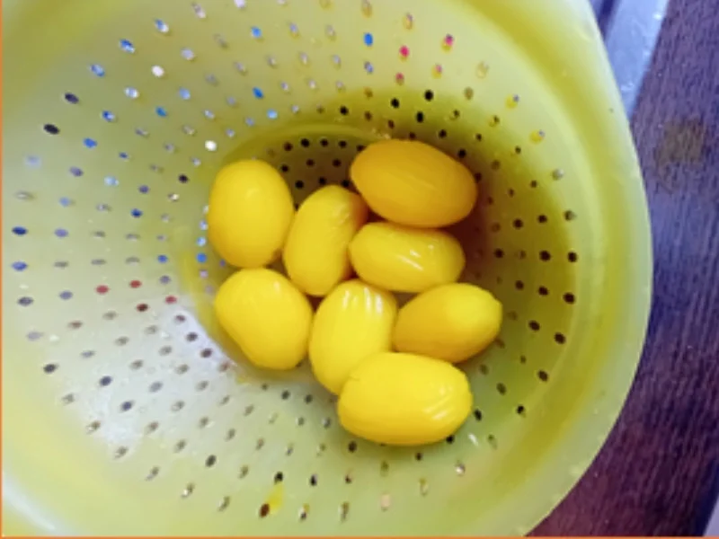 Rezept: Seelachsfilet auf Rahm-Sauerkraut und Drillingen Bild Nr. 8 Seelachsfilet auf Rahm-Sauerkraut und Drillingen - Rezept - Bild Nr. 8