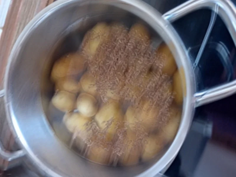 Bratheringsfilet mit Mini-Pellkartoffeln, Kimchi und Gewürzgurken - Rezept - Bild Nr. 4