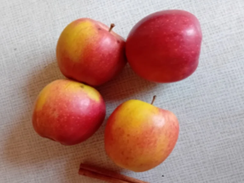 Eierpfannkuchen mit Apfelkompott - Rezept - Bild Nr. 7