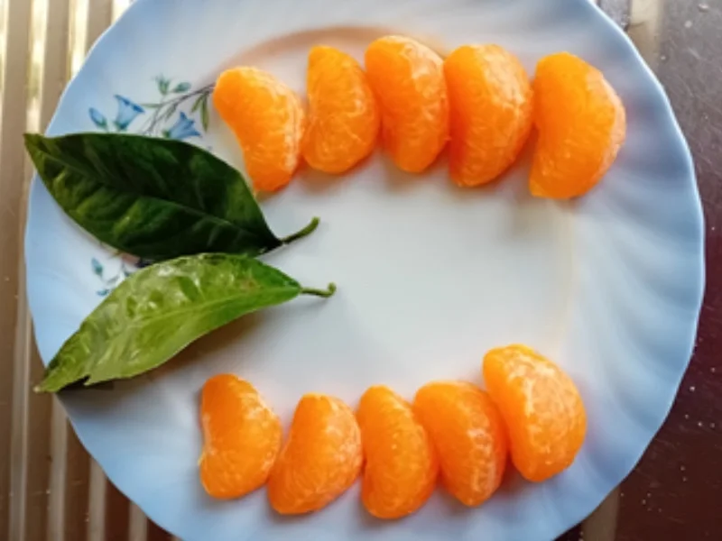 Eierpfannkuchen mit Apfelkompott - Rezept - Bild Nr. 11