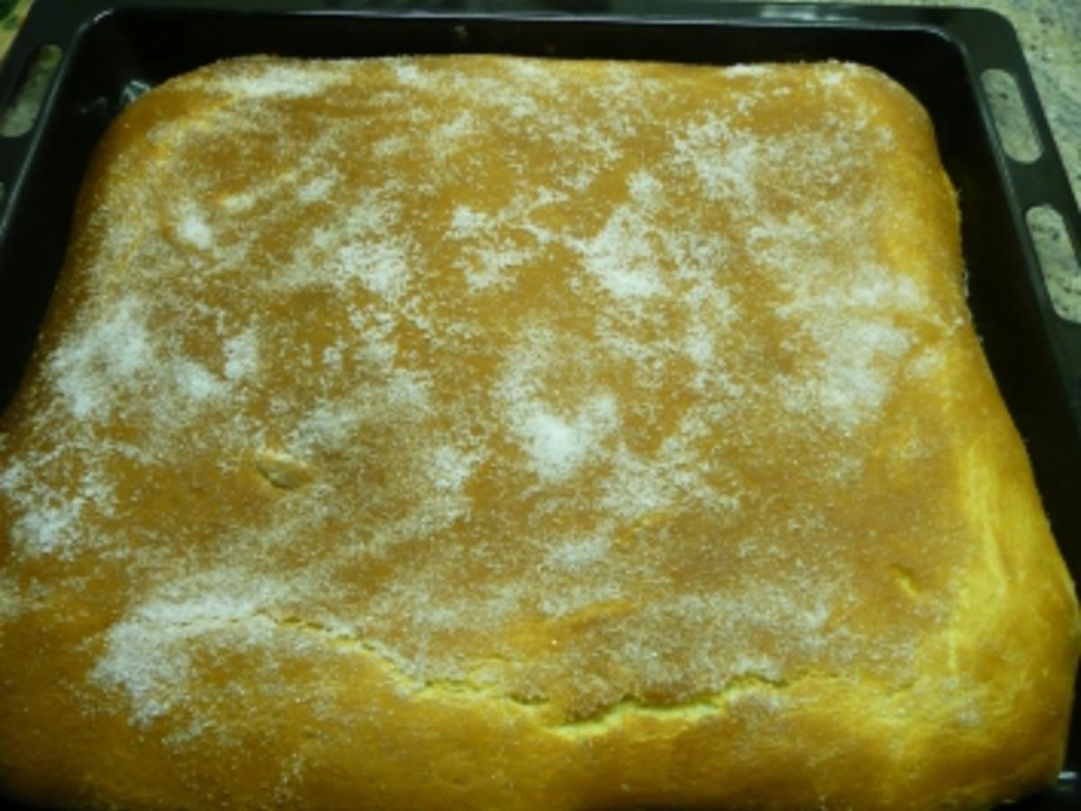 Schoko Nuß-Kuchen vom Blech - einfach - von Anna-Anita