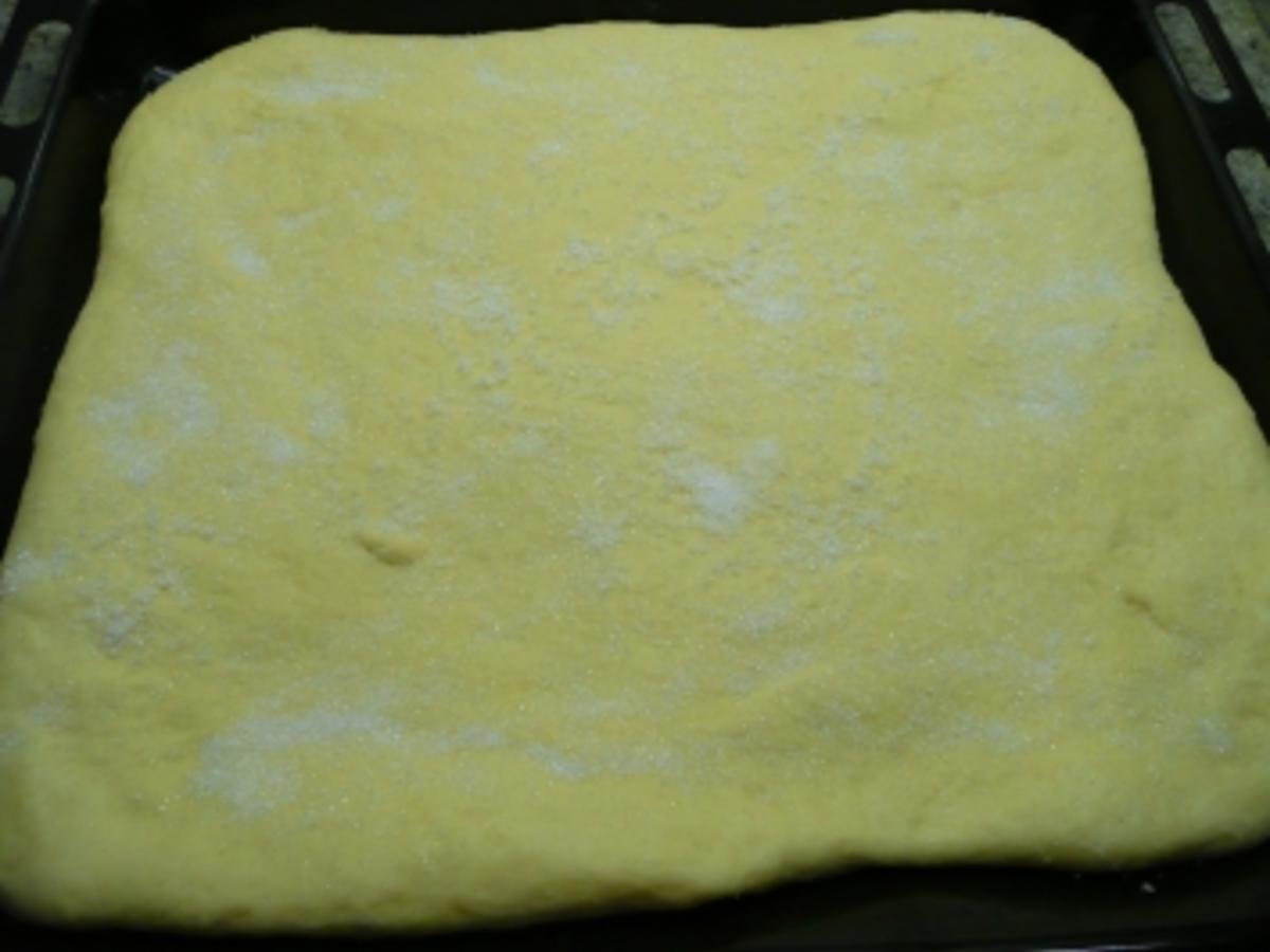 Schoko Nuß-Kuchen vom Blech - einfach - von Anna-Anita