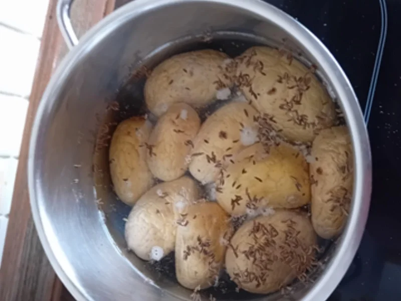 Bratheringsfilet mit Bratkartoffeln und Gurkensalat - Rezept - Bild Nr. 3