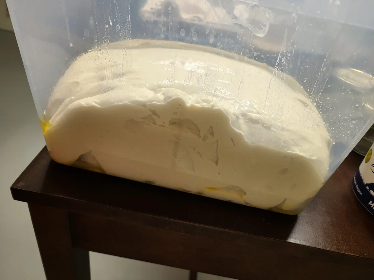 Rezept: Pizza Romana aus dem Holzbackofen Bild Nr. 8 Pizza Romana aus dem Holzbackofen - Rezept - Bild Nr. 8