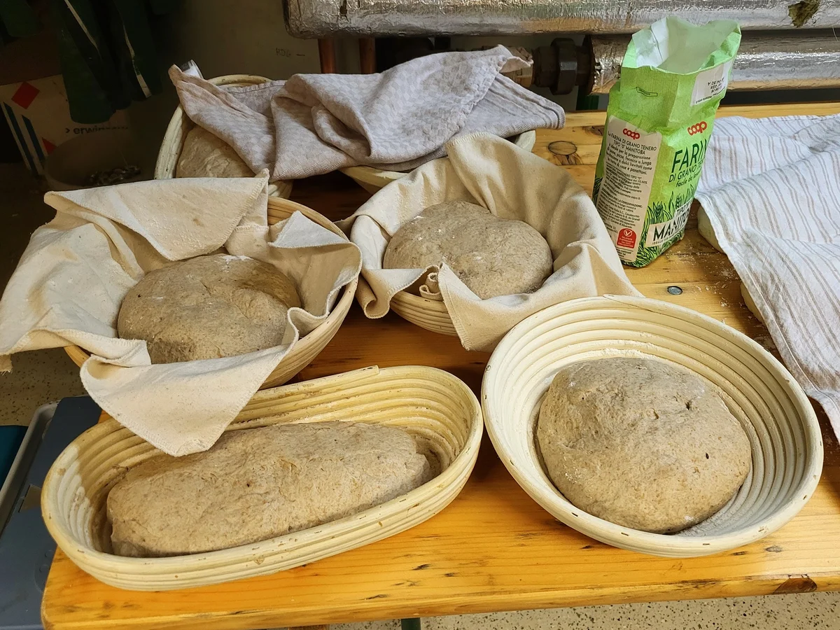 Rezept: Holzofenbrot aus Sauerteig Bild Nr. 5 Holzofenbrot aus Sauerteig - Rezept - Bild Nr. 5