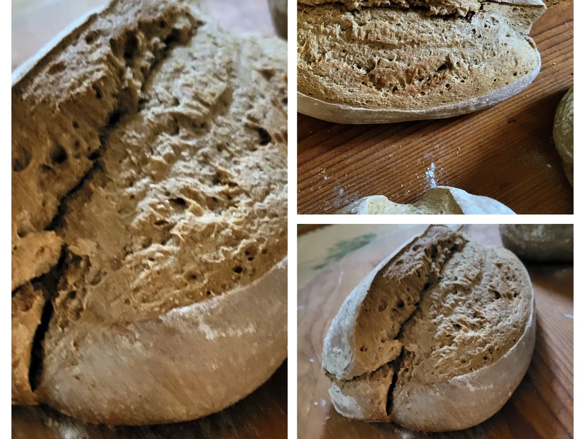 Rezept: Holzofenbrot aus Sauerteig Bild Nr. 6 Holzofenbrot aus Sauerteig - Rezept - Bild Nr. 6