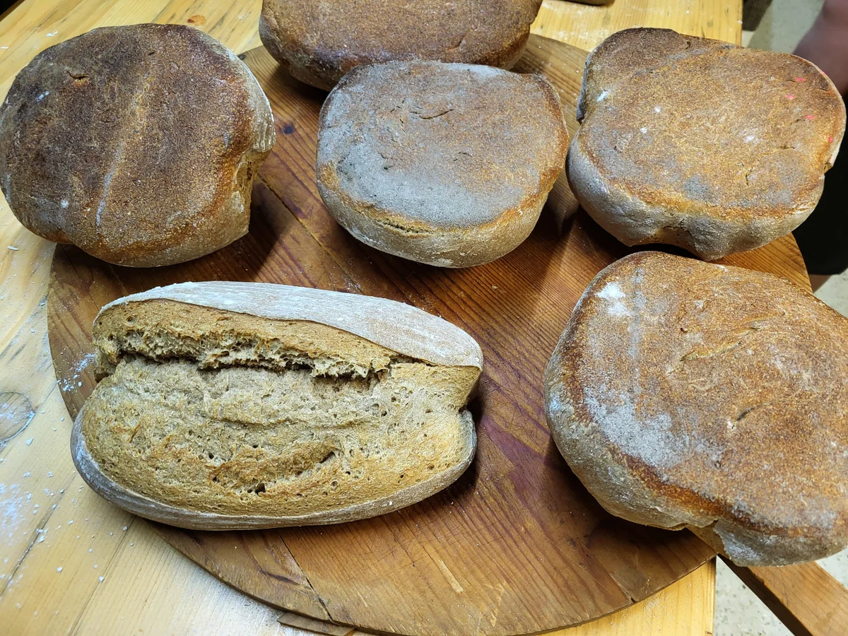 Rezept: Holzofenbrot aus Sauerteig Bild Nr. 9 Holzofenbrot aus Sauerteig - Rezept - Bild Nr. 9