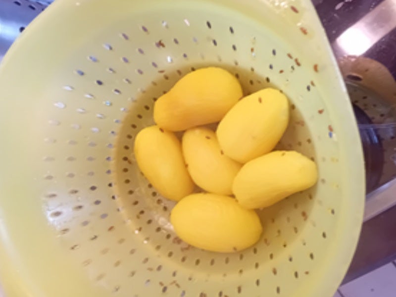 Spargel mit Seelachsfilet im Bier-Teig und Frühkartoffeln - Rezept - Bild Nr. 14