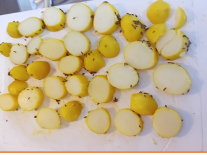 Steinpilze mit Rührei und Bratkartoffeln - Rezept - Bild Nr. 8