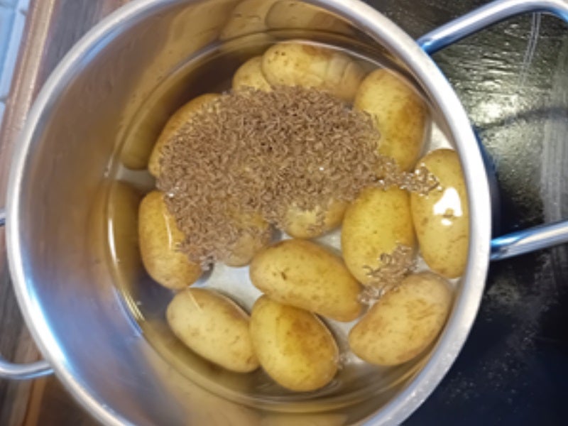 Heringsfilet in Sahnesauce mit Kümmel-Pellkartoffeln und Eisbergsalat - Rezept - Bild Nr. 4