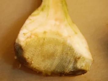 Rezept: Risotto mit Artischocken Bild Nr. 8 Risotto mit Artischocken - Rezept - Bild Nr. 8