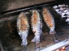 Forelle am Grill - Rezept
