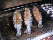Forelle am Grill - Rezept
