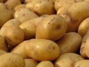 Bunter Kartoffelsalat - Rezept